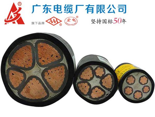 广东YJV电缆 屏蔽结构