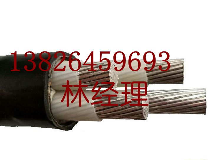 广东电缆电线