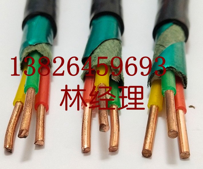 广东电缆电线