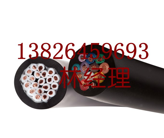 广东电缆电线