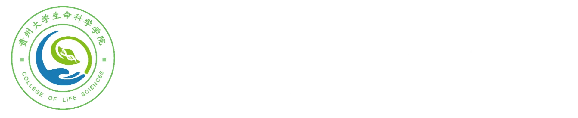 bw西汉姆联中文